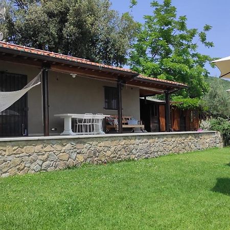 B&B La Casina Di Iris アレッツォ エクステリア 写真
