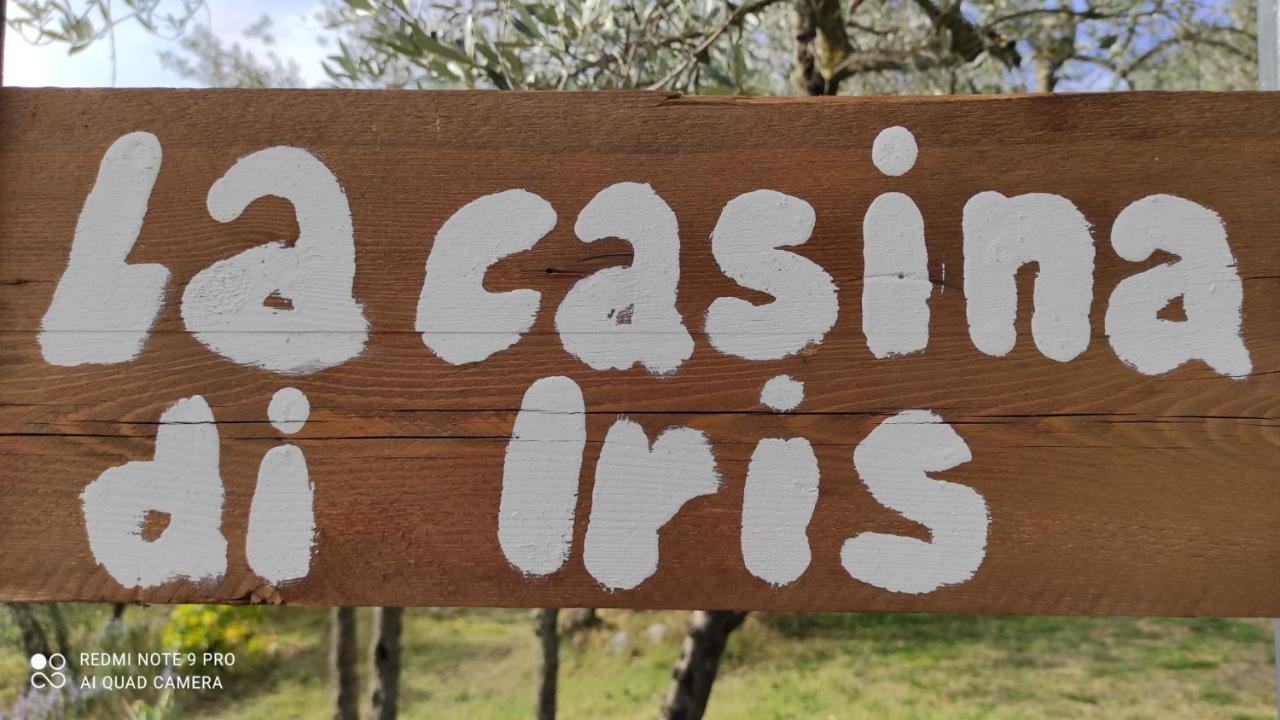 B&B La Casina Di Iris アレッツォ エクステリア 写真