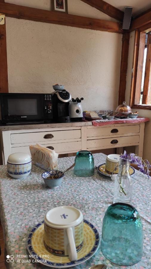 B&B La Casina Di Iris アレッツォ エクステリア 写真
