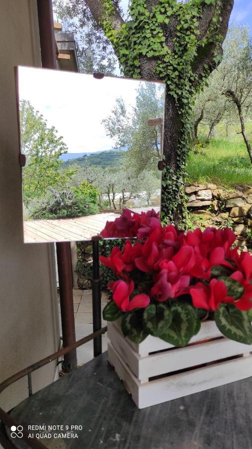 B&B La Casina Di Iris アレッツォ エクステリア 写真