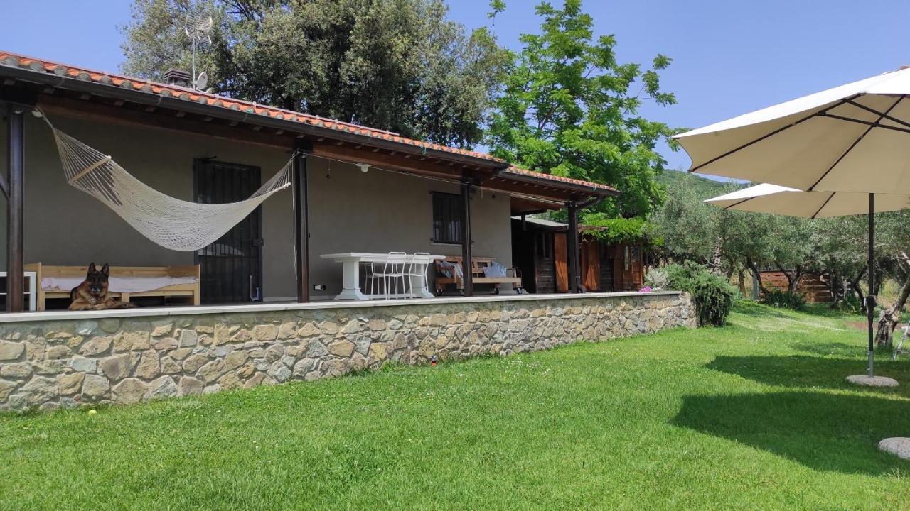 B&B La Casina Di Iris アレッツォ エクステリア 写真