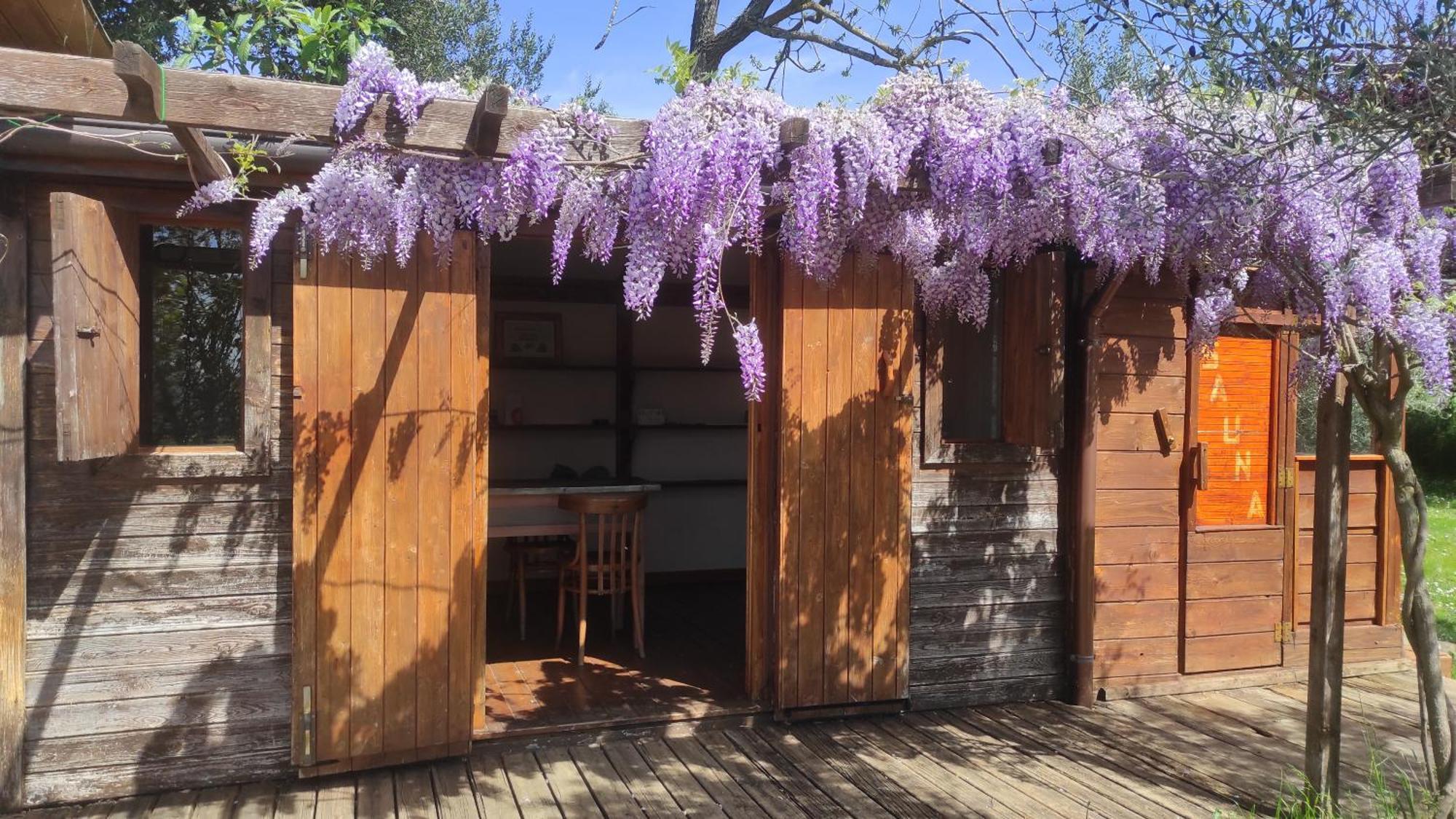 B&B La Casina Di Iris アレッツォ エクステリア 写真